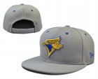 MLB Adjustable Hats (79)
