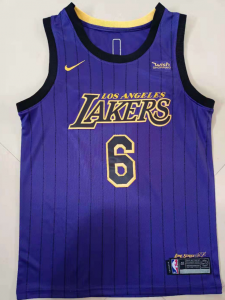 Lakers #6 JAMES Light purple Patch Swingman Jersey