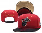 Heat Team Logo Mitchell & Ness Adjustable Hat YD