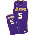 Mens Adidas Los Angeles Lakers #5 Jose Calderon Swingman Purple Road NBA Jersey