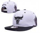 NBA Adjustable Hats (237)