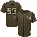 Mens Majestic Tampa Bay Rays #53 Alex Cobb Authentic Green Salute to Service MLB Jersey