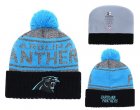 Panthers Fresh Logo Blue Pom Knit Hat YD