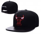 NBA Adjustable Hats (105)