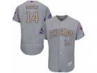 Chicago Cubs #14 Ernie Banks Authentic Gray 2017 Gold Champion Flex Base MLB Jersey