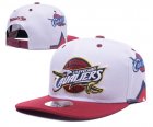 NBA Adjustable Hats (240)