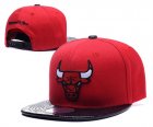 NBA Adjustable Hats (214)