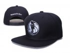 NBA Adjustable Hats (186)