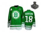 nhl boston bruins #18 horton green[2011 stanley cup]