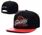 NBA Adjustable Hats (127)