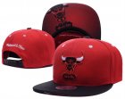 NBA Adjustable Hats (97)