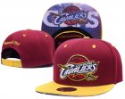 NBA Adjustable Hats (21)