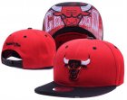 NBA Adjustable Hats (106)