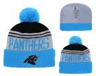 Panthers Team Logo Blue Pom Knit Hat