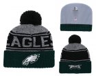 Eagles Team Logo Green Pom Knit Hat