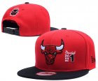 NBA Adjustable Hats (80)