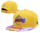 NBA Adjustable Hats (8)