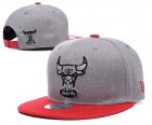 NBA Adjustable Hats (179)