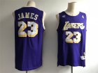 Lakers #23 Lebron James Purple Hardwood Classics Jersey