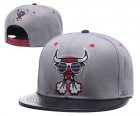 Bulls Team Logo Gray Adjustable Hat GS