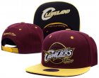 NBA Adjustable Hats (12)