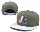 MLB Adjustable Hats (40)