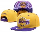 NBA Adjustable Hats (101)